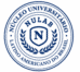 Logo Nulab Cursos